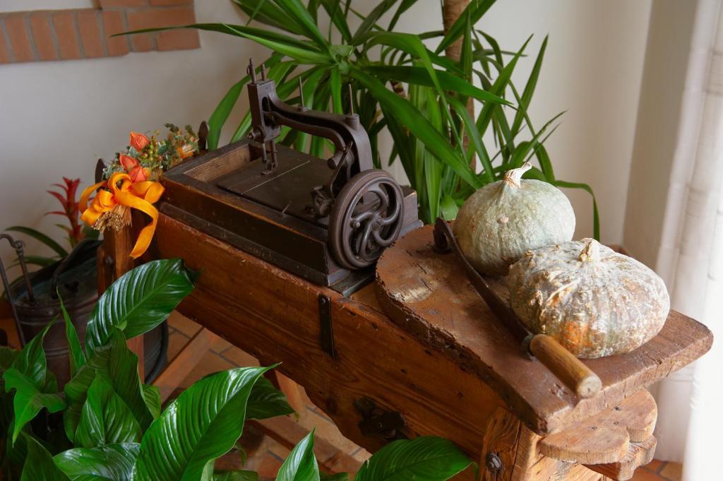 Agriturismo Il Cascinale เตรวิโซ ภายนอก รูปภาพ