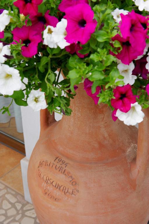 Agriturismo Il Cascinale เตรวิโซ ภายนอก รูปภาพ